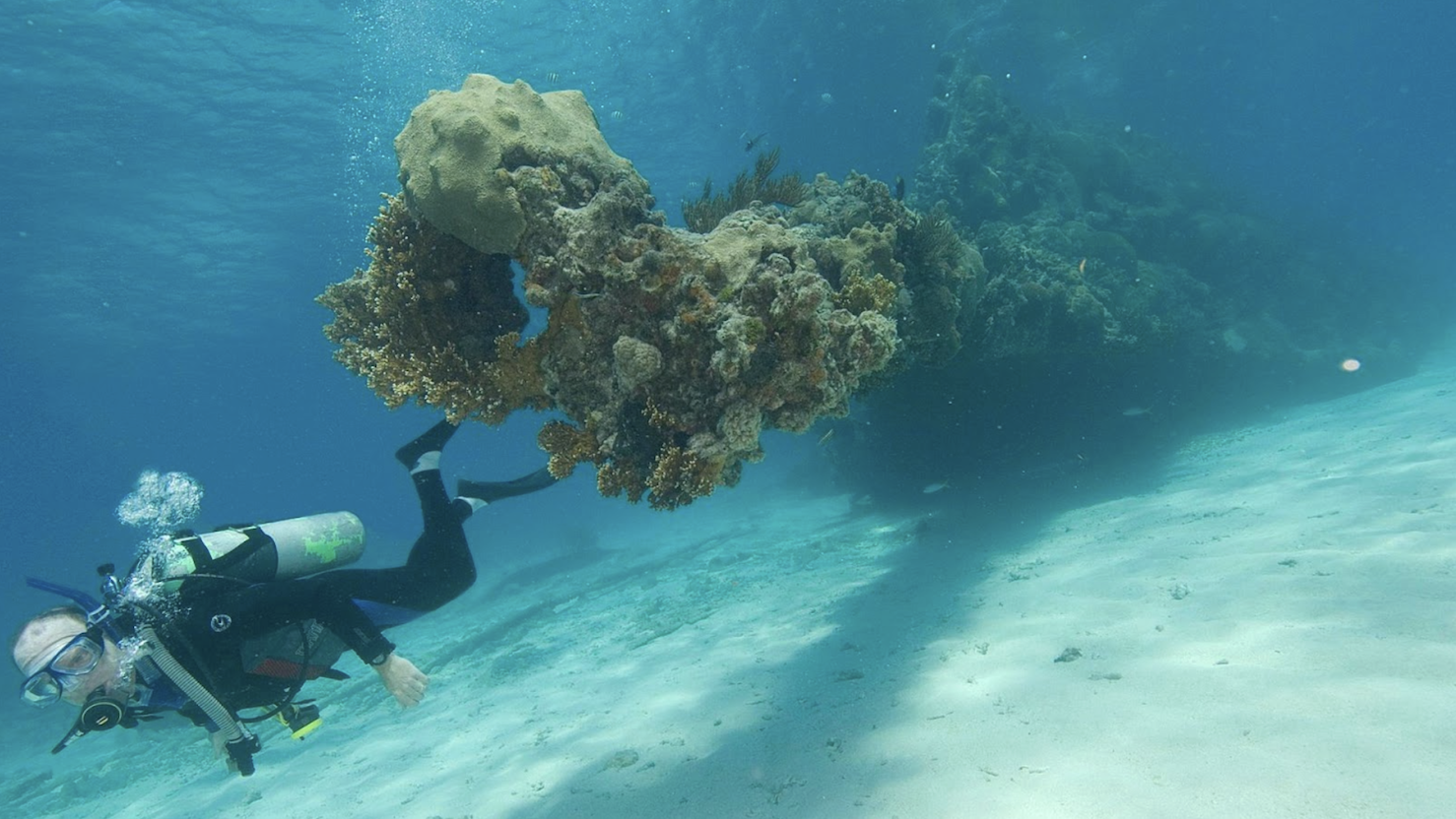 A scuba diver in full gear is captured underwater near a large coral formation. The diver is floating in clear, blue water, alongside a coral structure